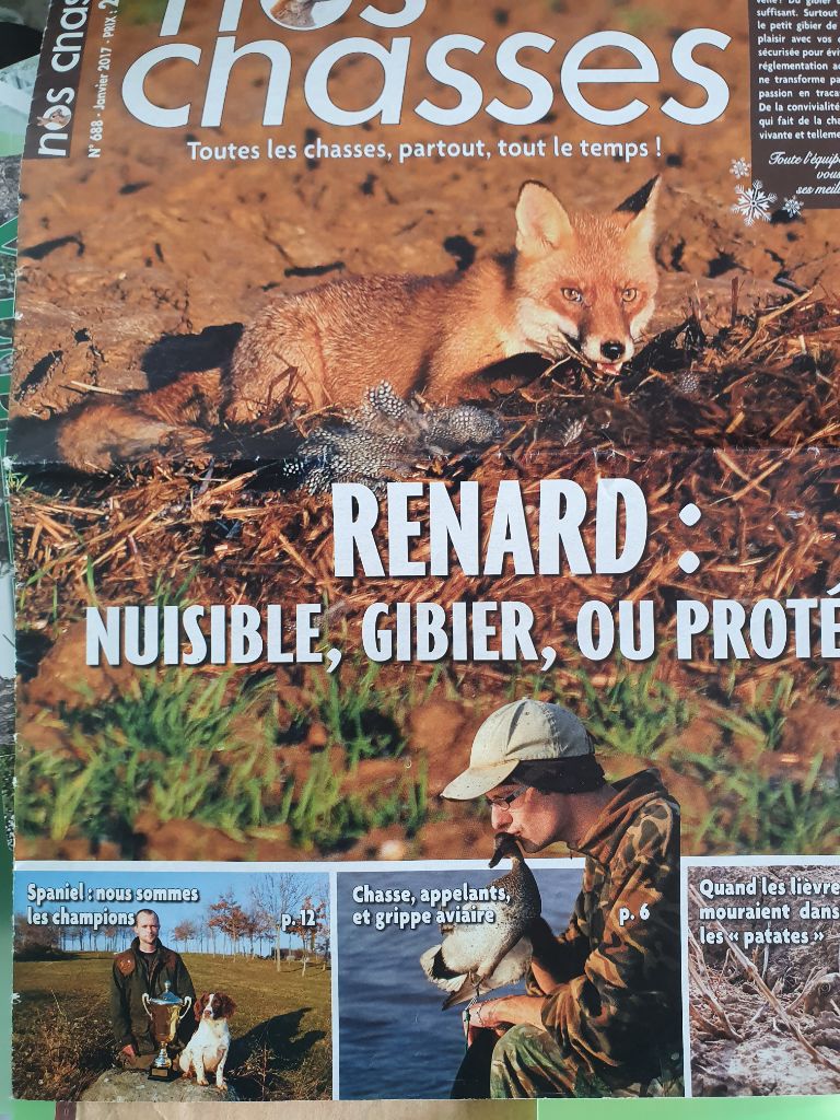 Nitro dans la presse