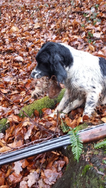 La chasse